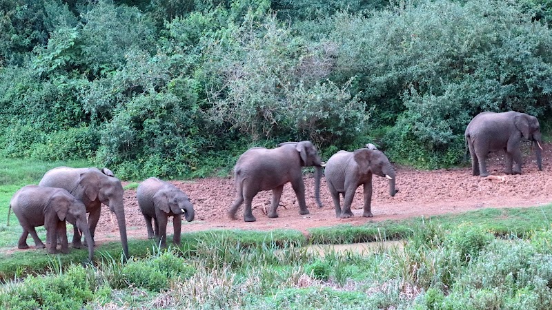 Photo 6 at Mount Kenya National Park in 