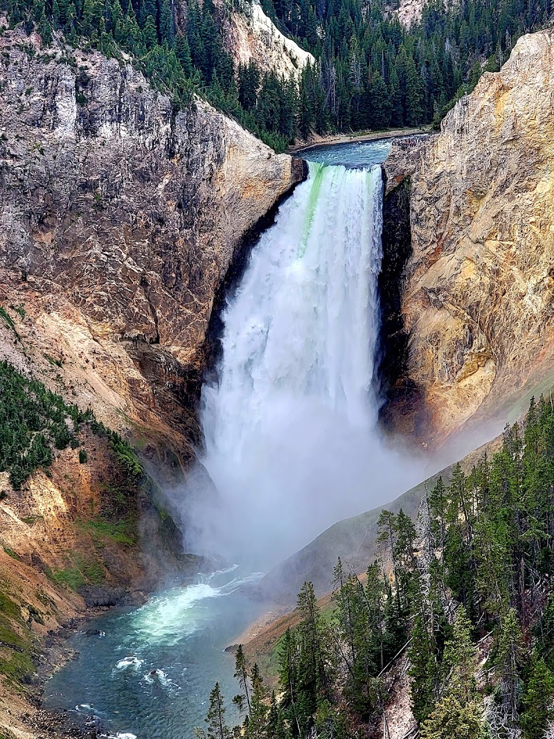 Yellowstone National Park in 