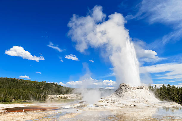Photo 3 at Yellowstone National Park in 