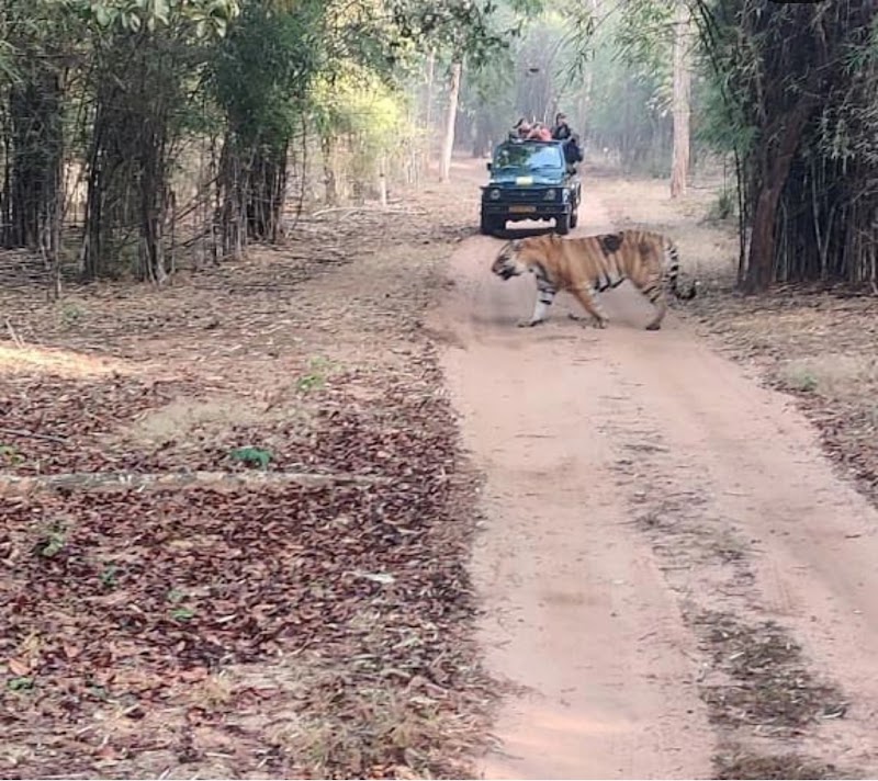 Bandhavgarh National Park in Garhpuri