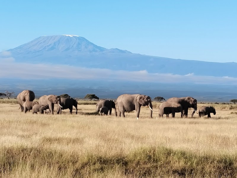 Photo 1 at Amboseli National Park in 