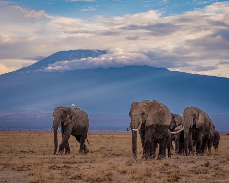 Photo 6 at Amboseli National Park in 