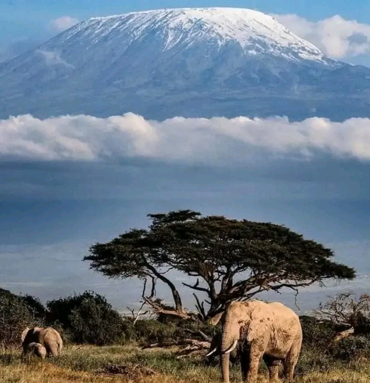 Amboseli National Park in 