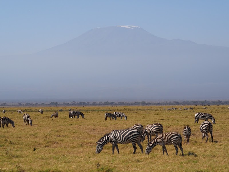 Photo 5 at Amboseli National Park in 