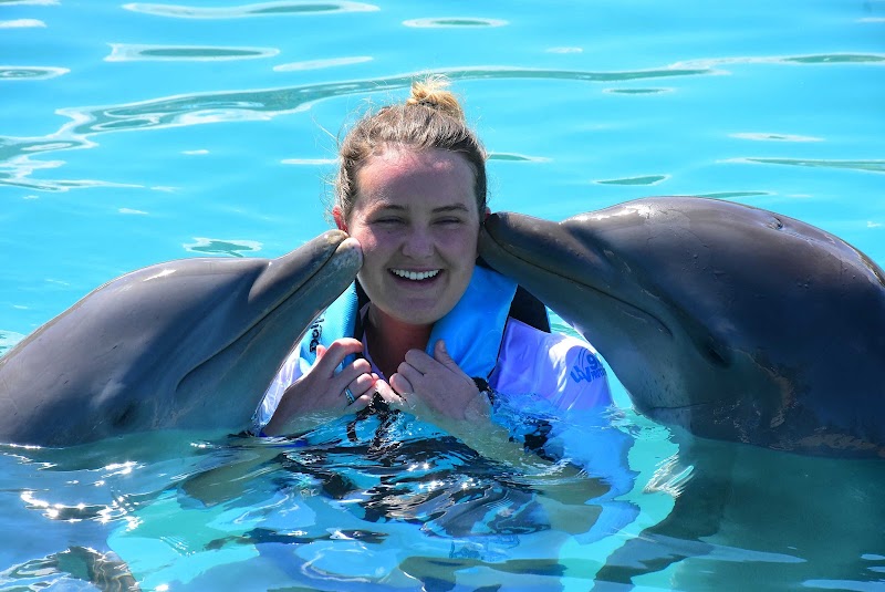Photo 1 at Dolphin Discovery Grand Cayman in West Bay