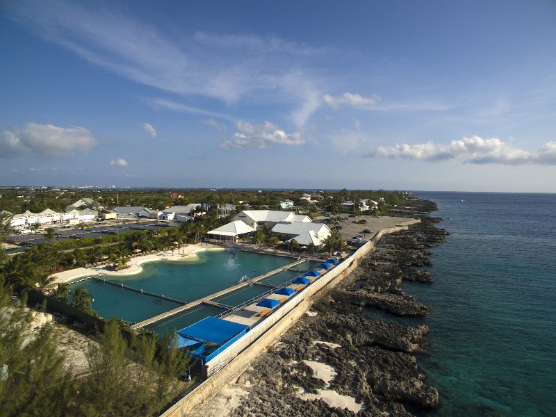 Dolphin Discovery Grand Cayman in West Bay