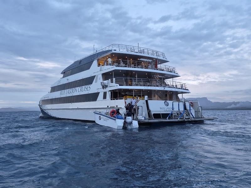 Blue Lagoon Cruises in Denarau Island