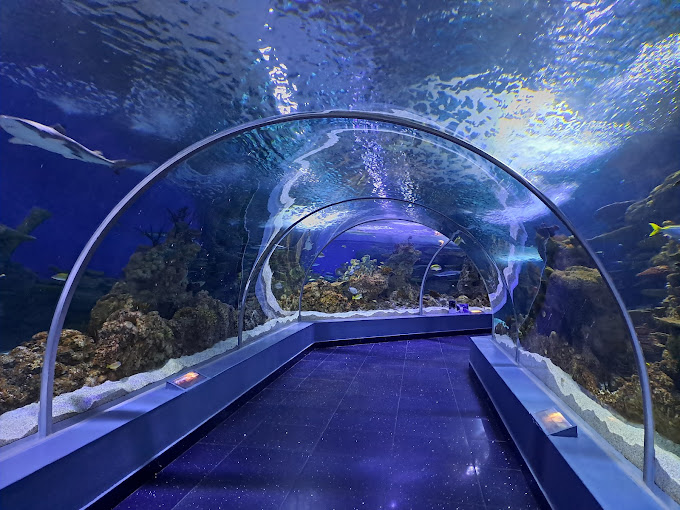 Fakieh Aquarium in Jeddah