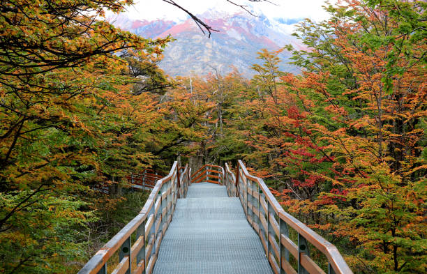Photo 1 at Parque Nacional Los Glaciares in 