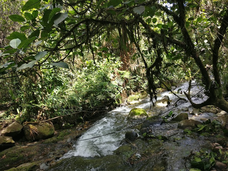 Photo 4 at Parque Nacional Juan Castro Blanco in 