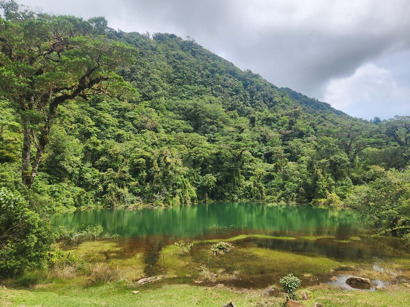 Parque Nacional Juan Castro Blanco in 