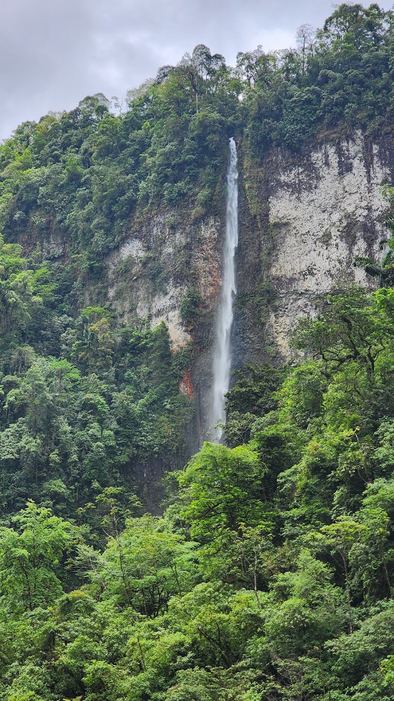 Photo 5 at Parque Nacional Juan Castro Blanco in 
