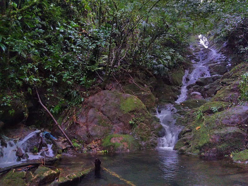 Photo 6 at Parque Nacional Juan Castro Blanco in 