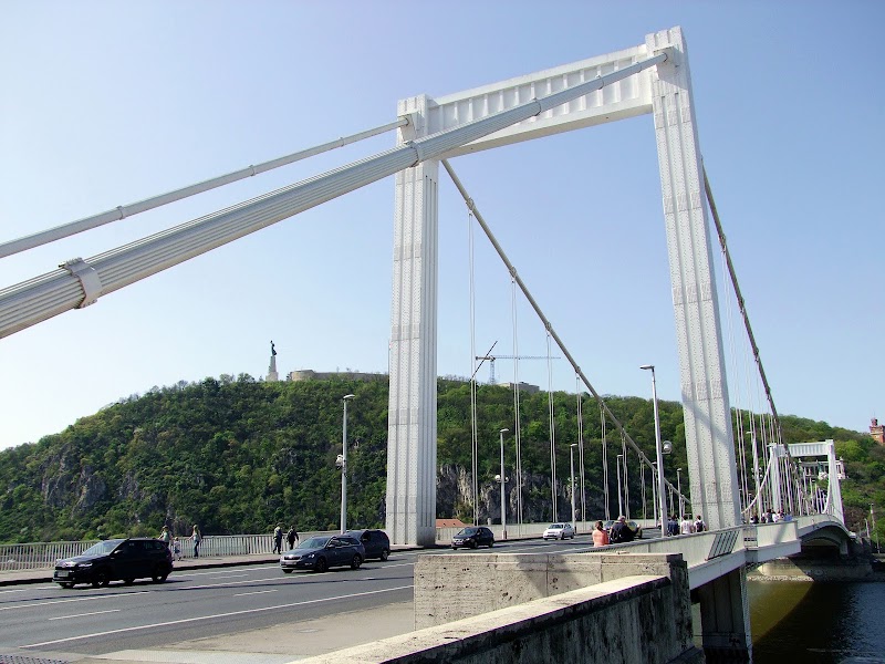 Photo 5 at Elisabeth Bridge in Budapest