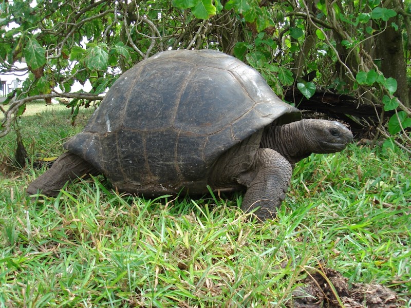 Photo 6 at Seychelles in 