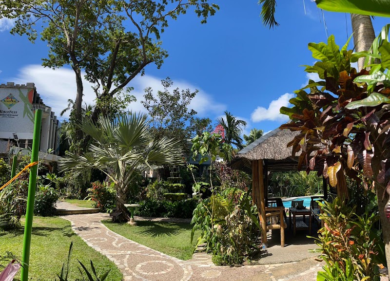 KokosNuss in Coron