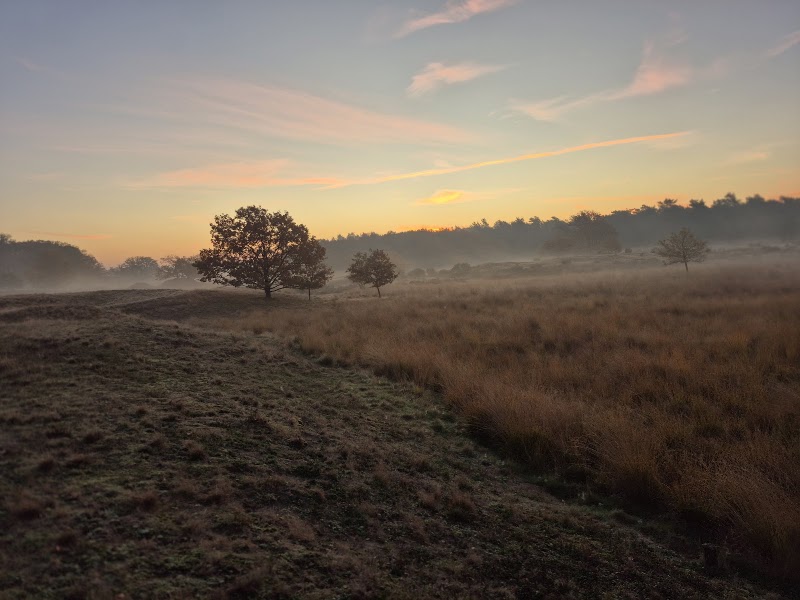 Photo 3 at The Loonse and Drunense Duinen National Park in Drunen