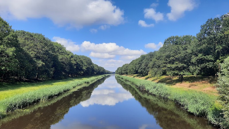Photo 4 at The Loonse and Drunense Duinen National Park in Drunen