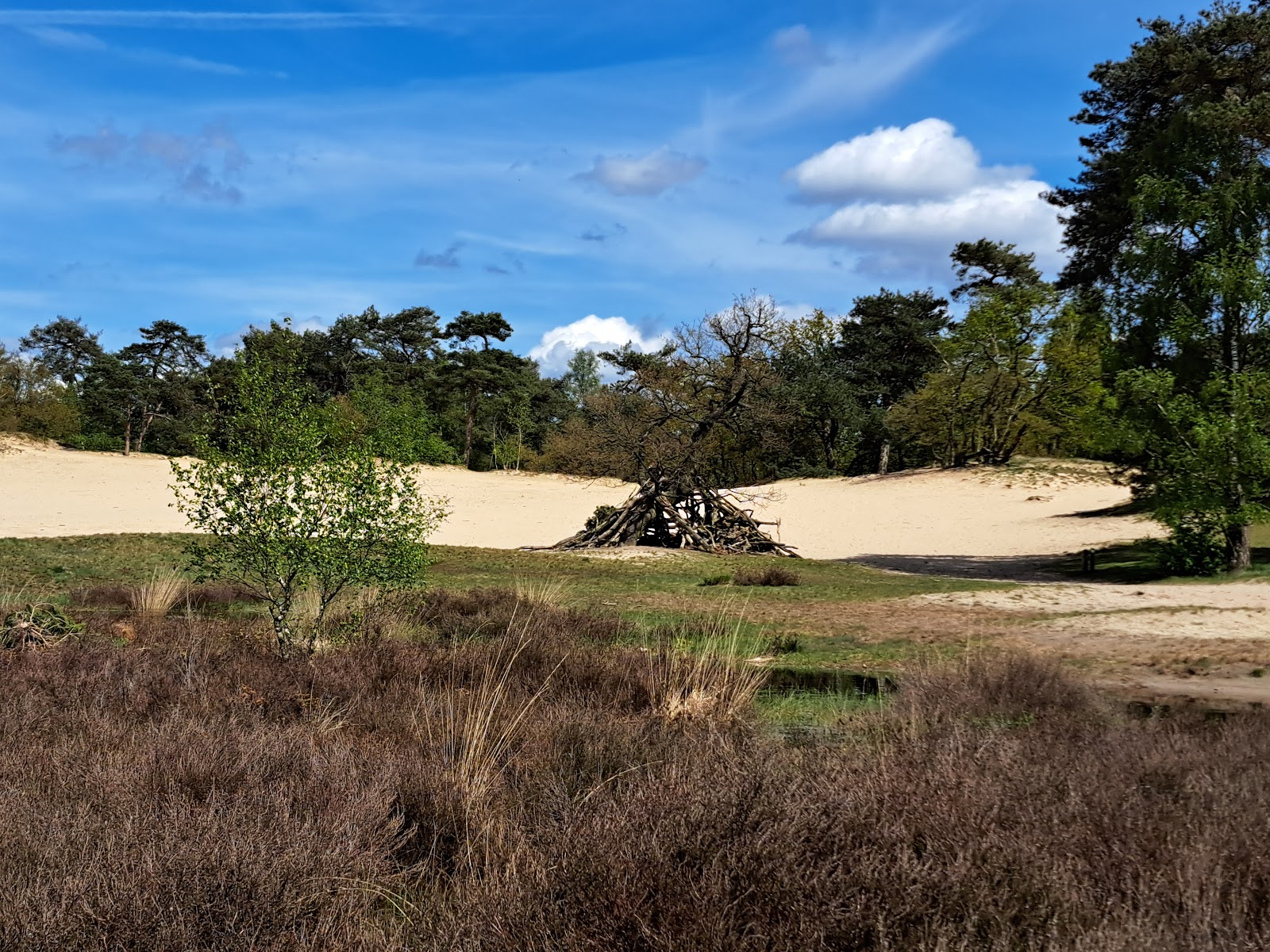 The Loonse and Drunense Duinen National Park in Drunen