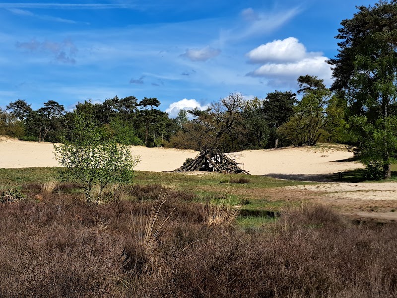 The Loonse and Drunense Duinen National Park in Drunen