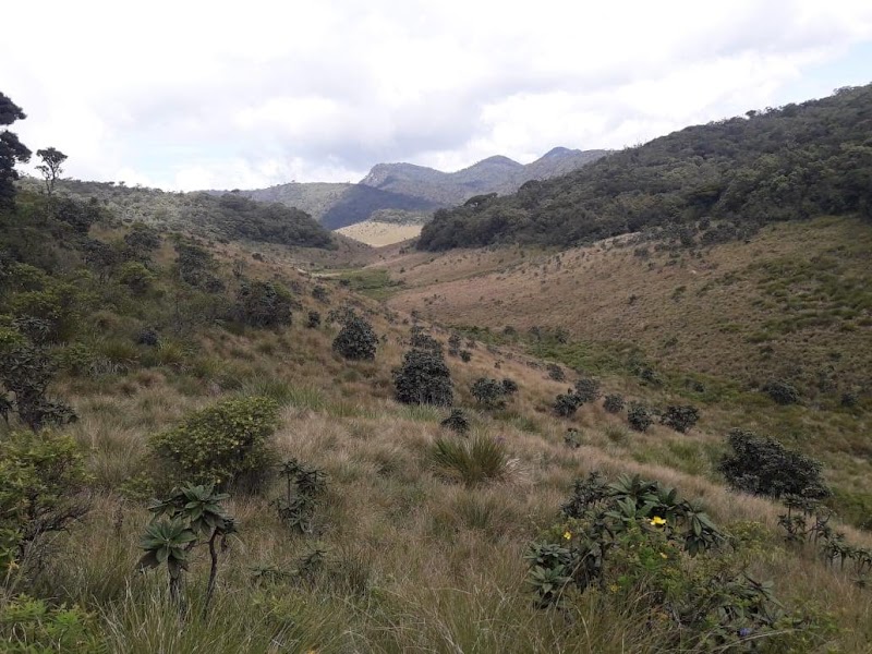 Photo 6 at Mini Worlds End (Madulsima) pitamaruwa in Metigahatenna