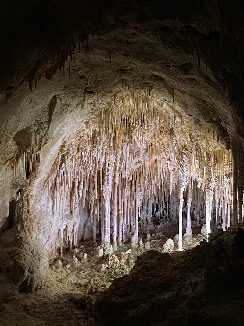 Photo 5 at Carlsbad Caverns National Park in Carlsbad