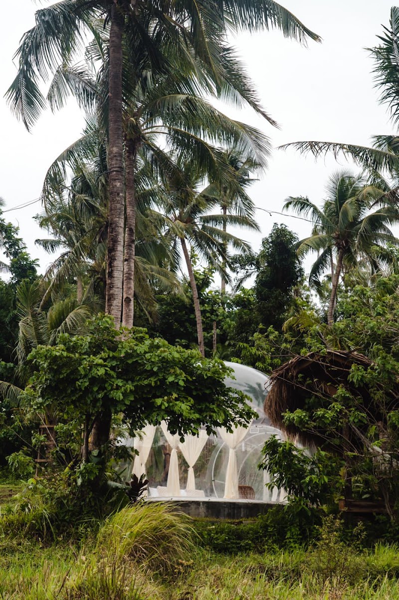 Photo 3 at Bubble Siargao in General Luna