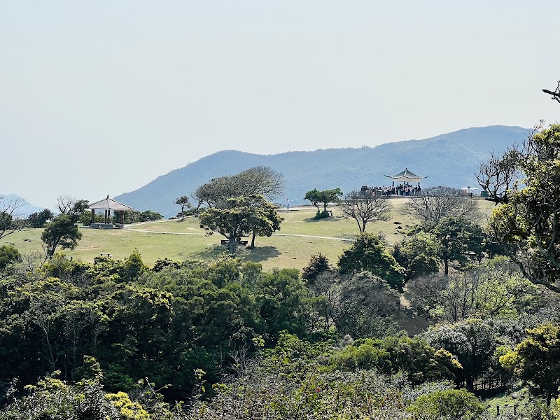 Photo 4 at Tai Hang Tun Kite Flying Area in 