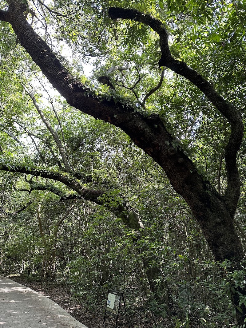 Photo 6 at The Barnacle Historic State Park in Miami