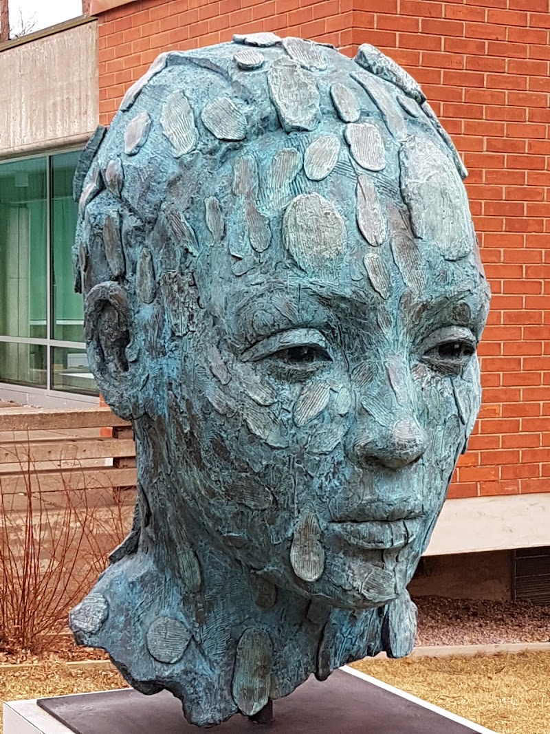Photo 5 at Didrichsen Art Museum in Helsinki