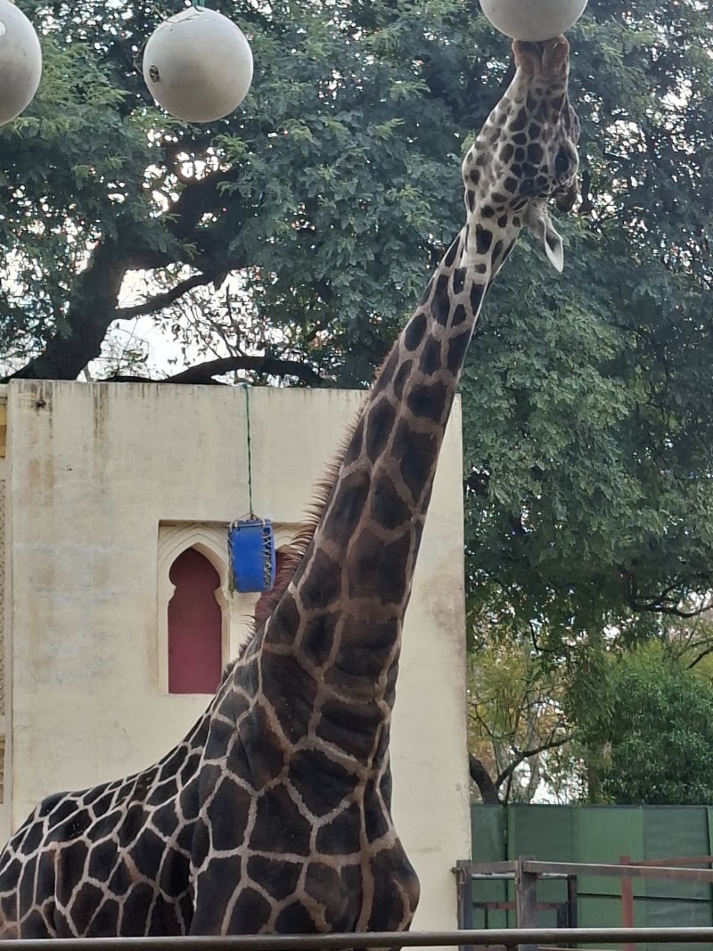 Photo 3 at Ecoparque in Buenos Aires