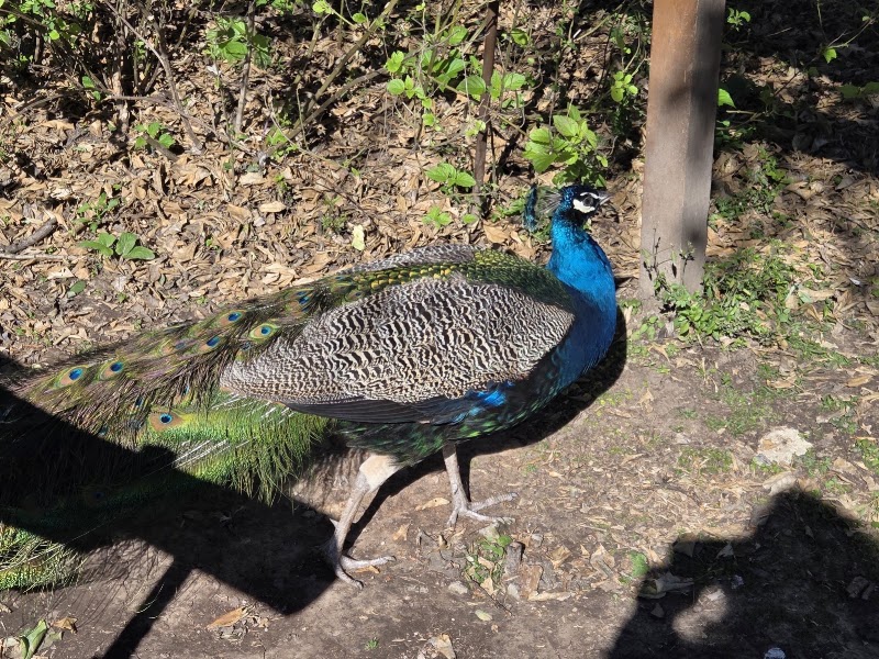 Photo 1 at Ecoparque in Buenos Aires