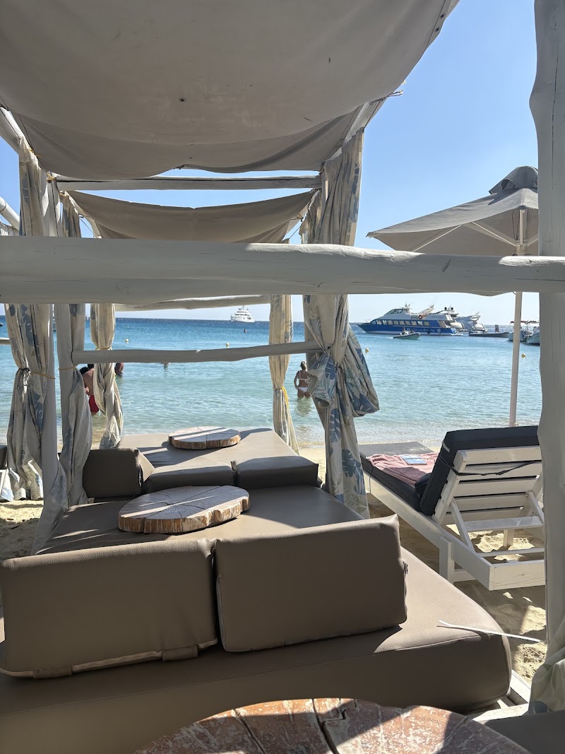 Photo 5 at Mykonos Kosmoplaz in Platis Gialos