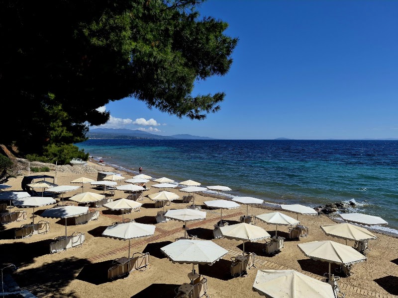 Photo 6 at Porfi Beach Hotel in Chalkidiki