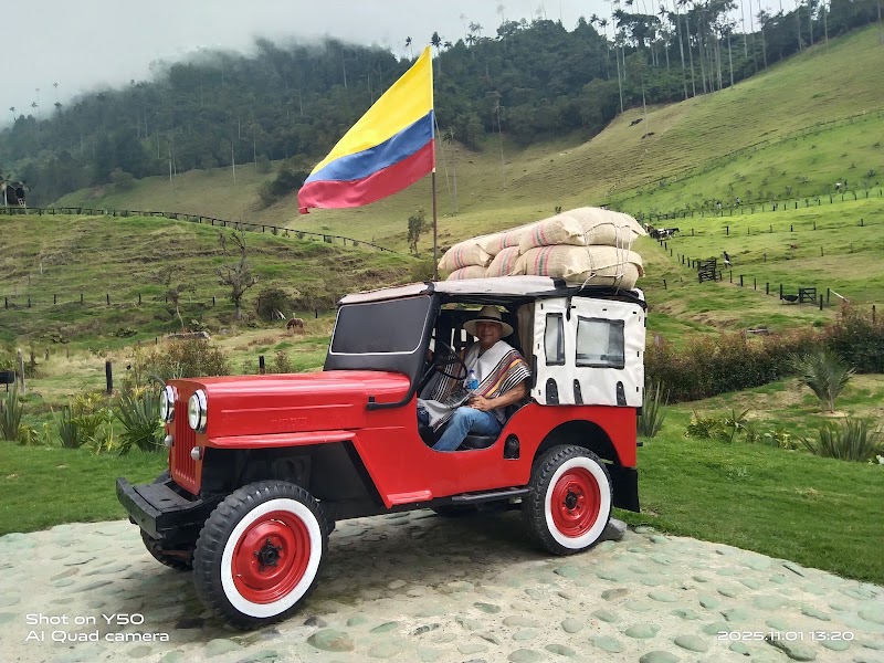 Photo 3 at Cocora Valley in Salento