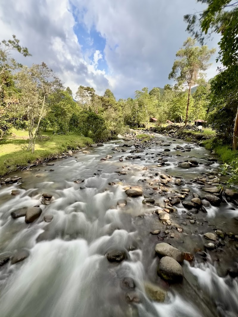 Photo 4 at Cocora Valley in Salento