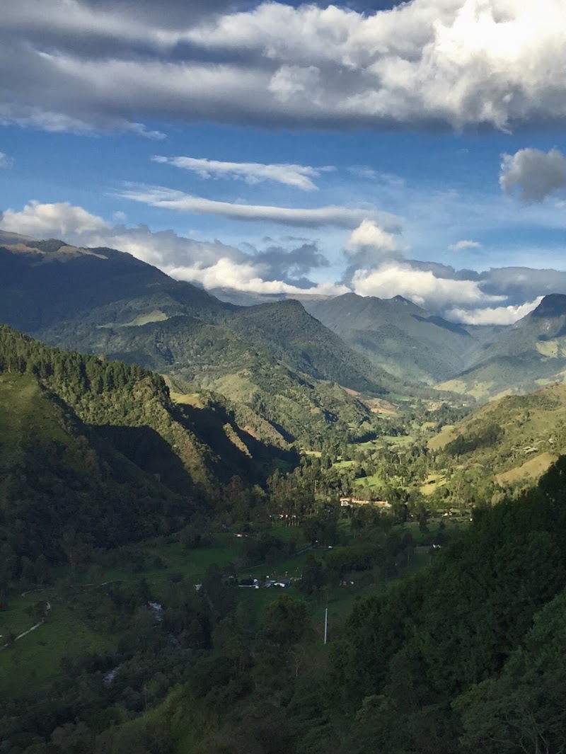 Photo 2 at Cocora Valley in Salento