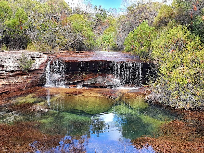 Photo 3 at Royal National Park in 