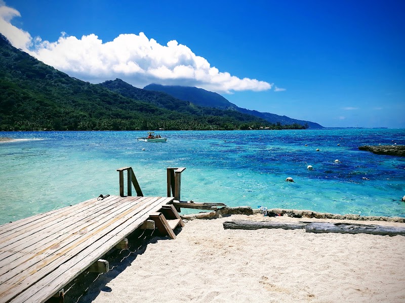 Photo 5 at Lagoonarium de Moorea (jardin de corail) in Moorea-Maiao