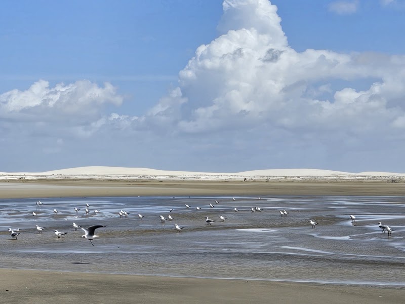 Photo 4 at Parque Nacional dos Lençóis Maranhenses in 