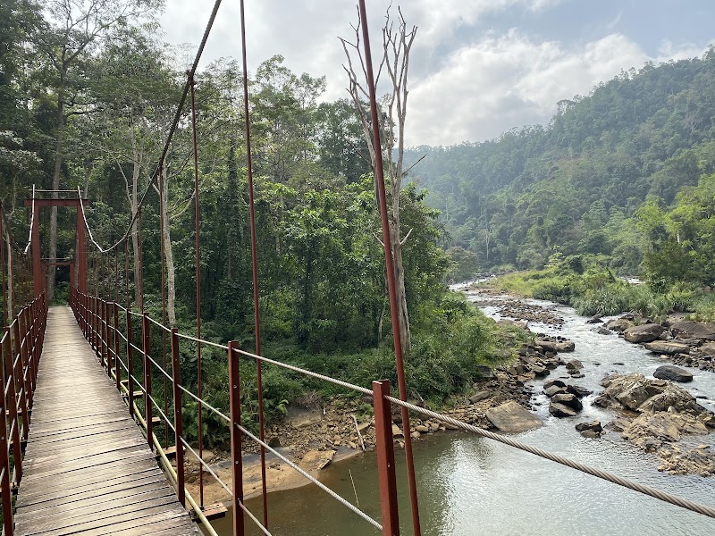 Photo 6 at Sinharaja Forest Reserve in 