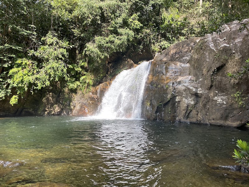 Photo 2 at Sinharaja Forest Reserve in 