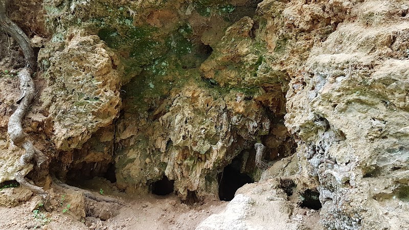 Photo 6 at Dokuzak Waterfall in 