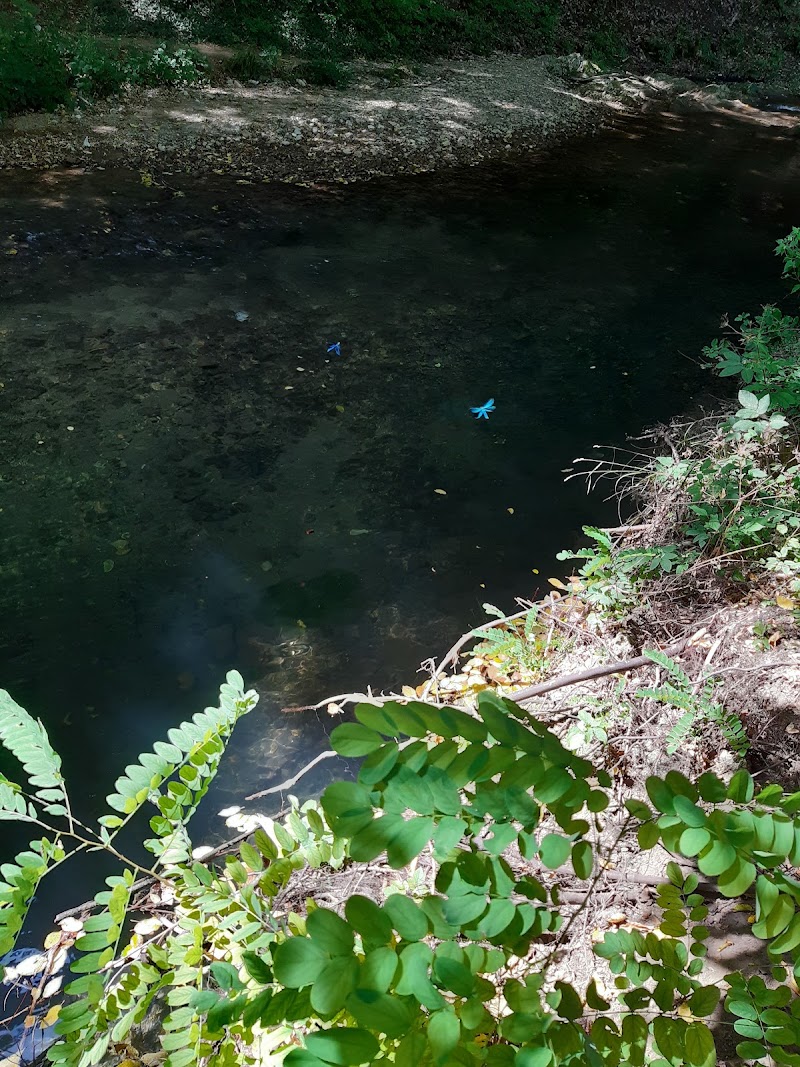 Photo 3 at Dokuzak Waterfall in 