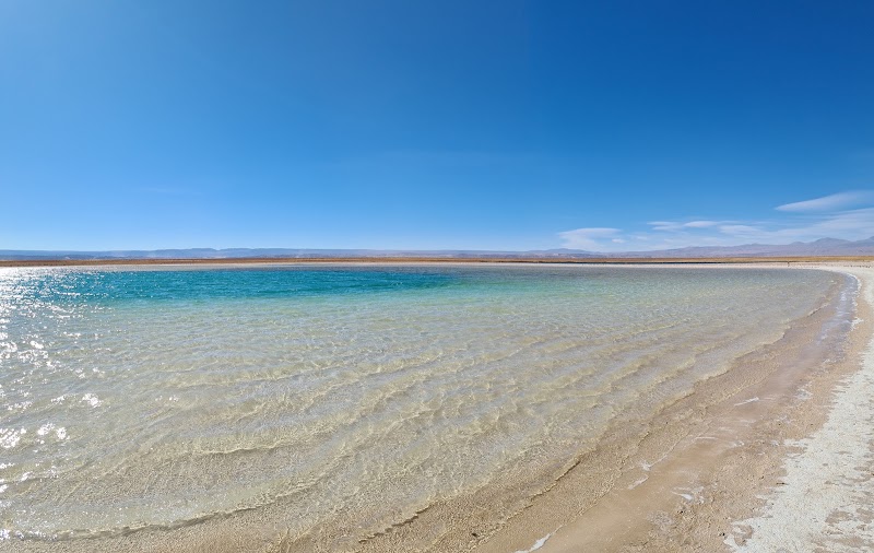 Photo 6 at Turismo Chile Tours in Antofagasta