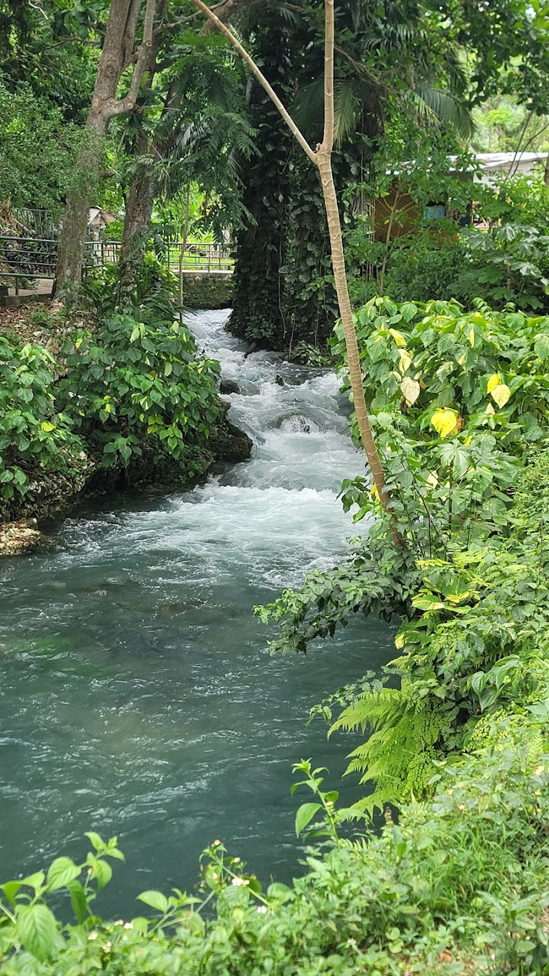 Photo 4 at Roaring River and Cave in Petersfield