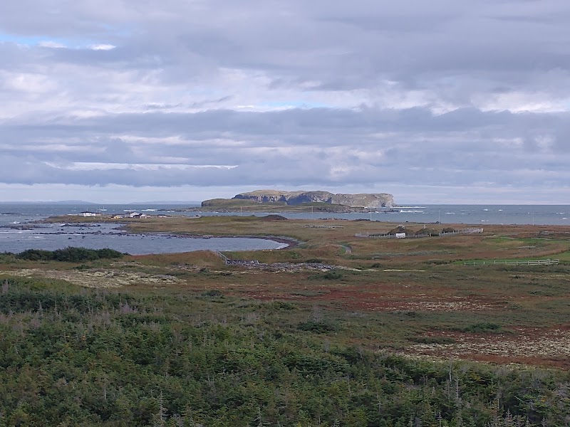 Photo 6 at L'Anse aux Meadows National Historic Site in 