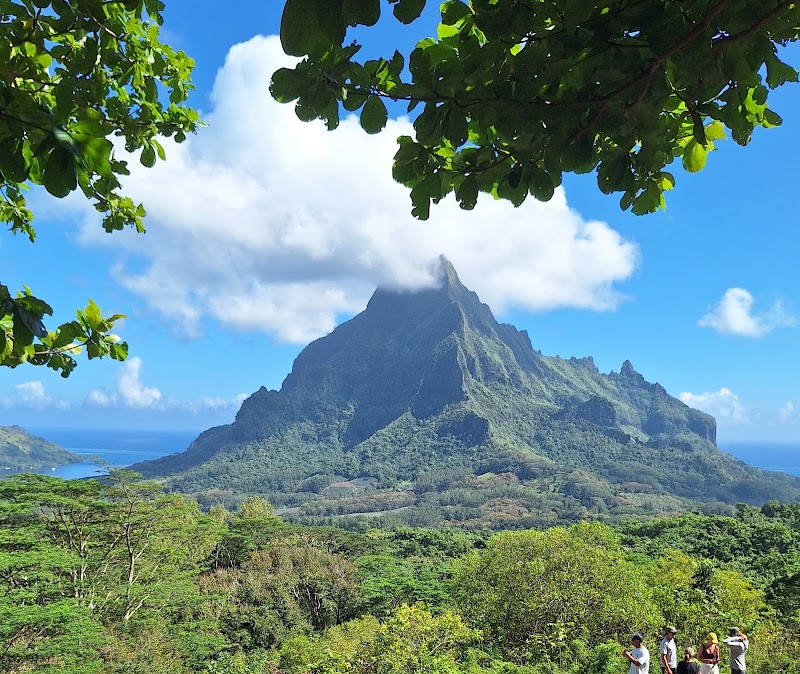 Belvedere Lookout in Moorea-Maiao