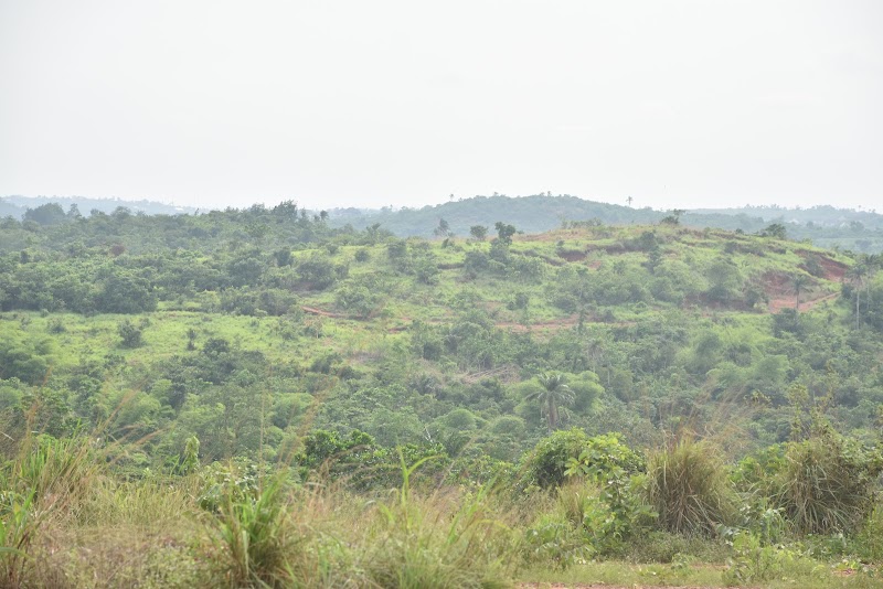 Ogbunike Cave in Ogbunike
