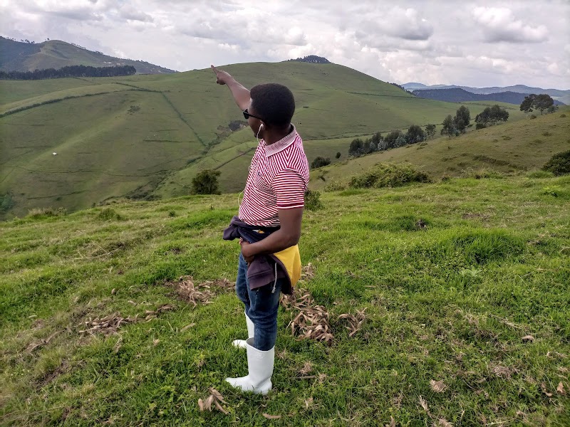 Photo 5 at Gishwati-Mukura National Park and Biosphere Reserve in 